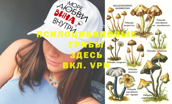 кокаин Новодвинск