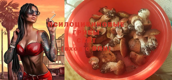синтетический гашиш Новозыбков