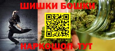 индика Балахна