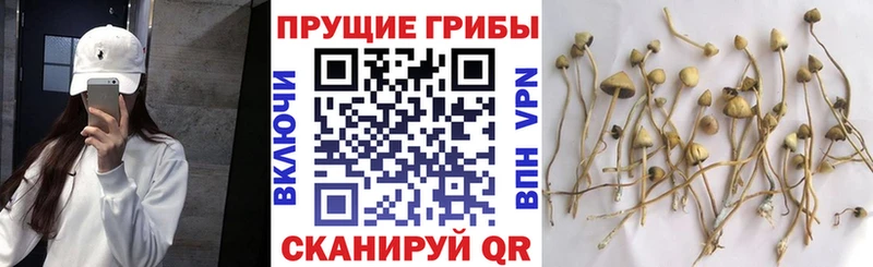 Псилоцибиновые грибы мухоморы Севастополь