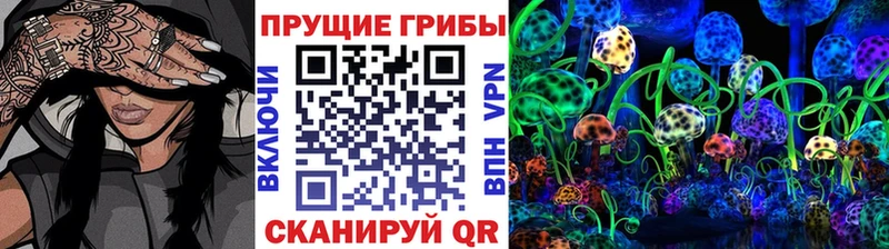 наркотики  Севастополь  Псилоцибиновые грибы Cubensis 