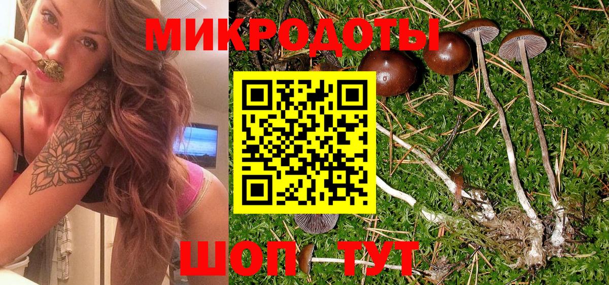 Псилоцибиновые грибы мухоморы Севастополь