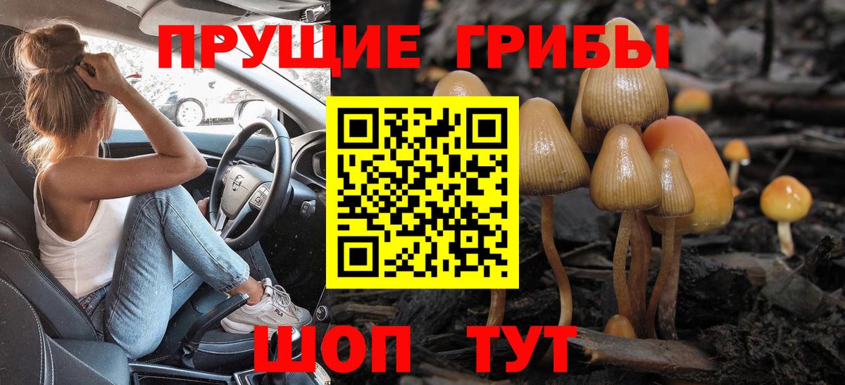 Севастополь  Галлюциногенные грибы Psilocybine cubensis  Вход с VPN  Псилоцибиновые грибы Cubensis 