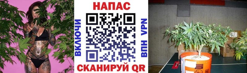 МАРИХУАНА MAZAR  кракен онион  Севастополь  наркотики 